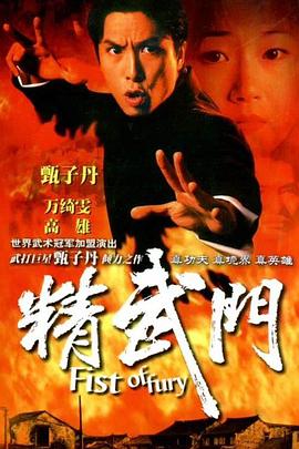 精武门1995(全集)